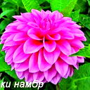 Любовь Бакланова