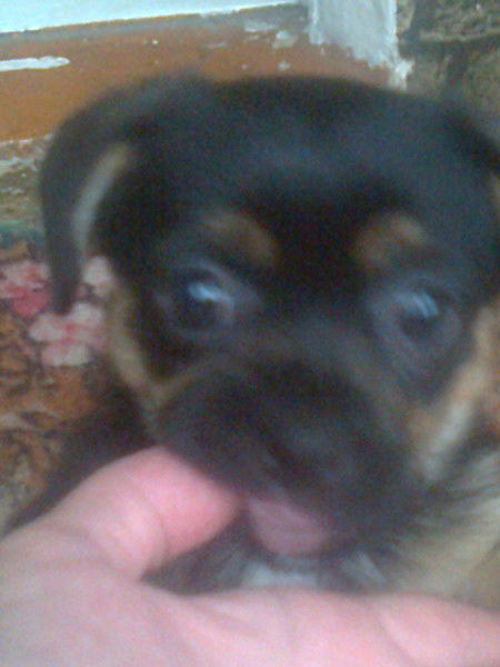 Лариса Галимова