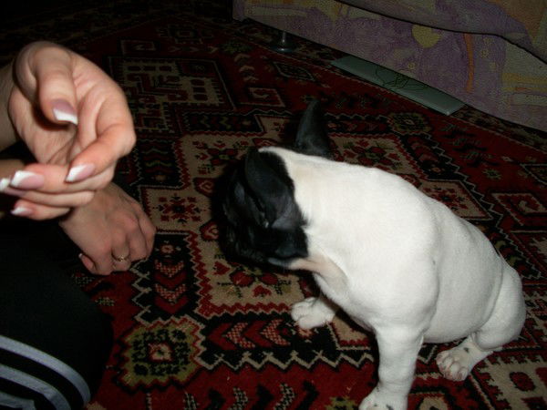 Ольга Цыбина