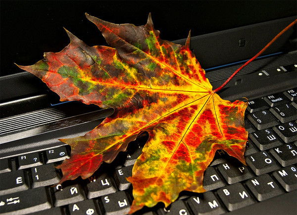 Марго Залогина