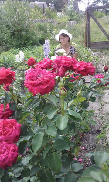 Ольга Мячева