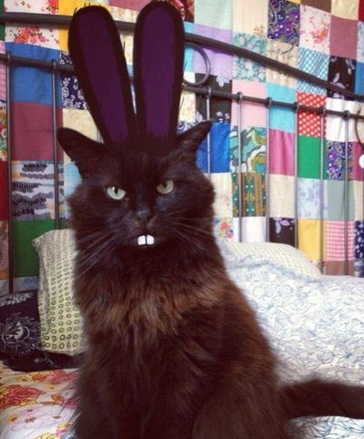 Лена Машарова