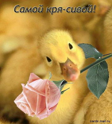 Сария Галимова