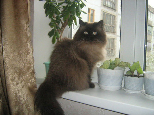 Ольга Плотцева