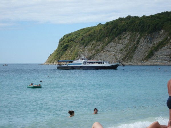 Наталья Дубровская