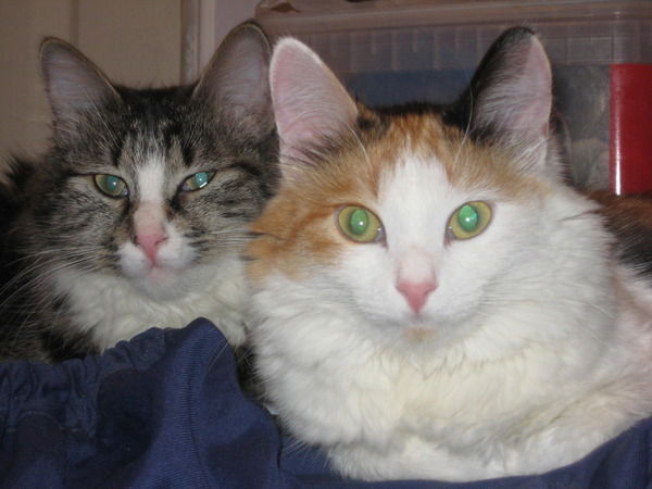 Виктория Викторовна