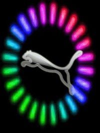 Андрей Дуванский