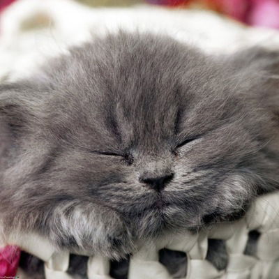 Наталия Капустян