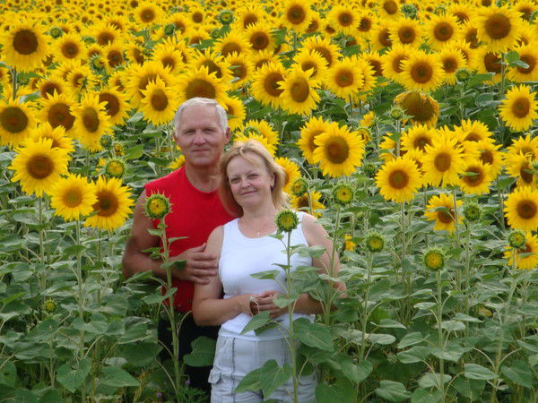 Владимир Царев