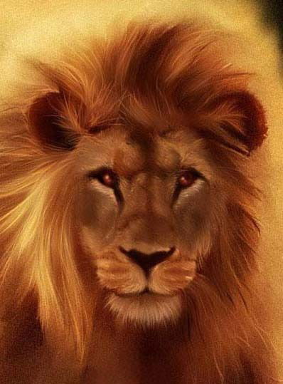 Александр Александр