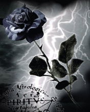 Darkbenladan Darkbenladan