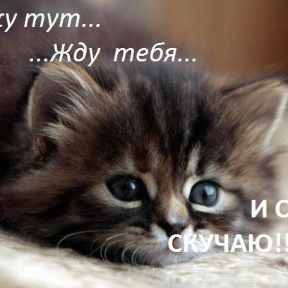 Заметалова Александра