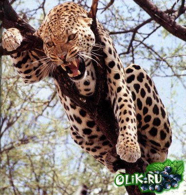 Ульяна Громова