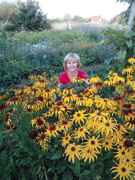 Александра Недорика