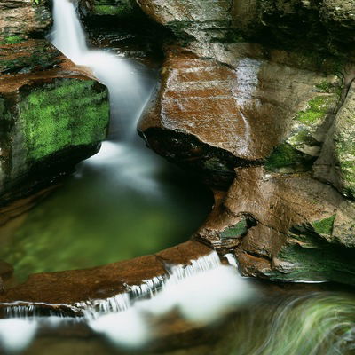 Наталья Савченко