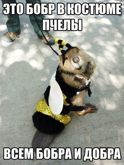 Александр Ларин