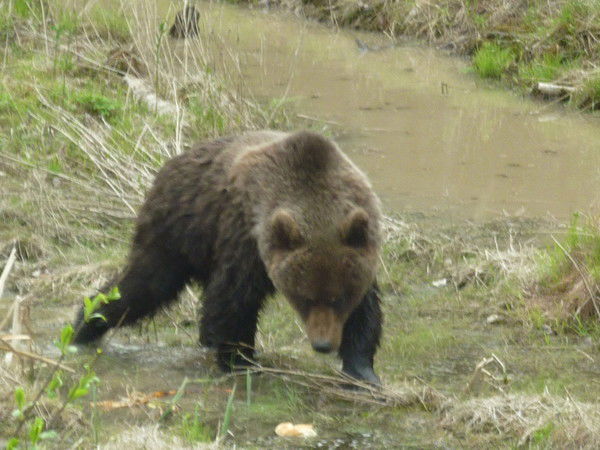Руслан Музафаров
