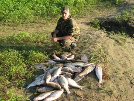 Игорь Яковлев