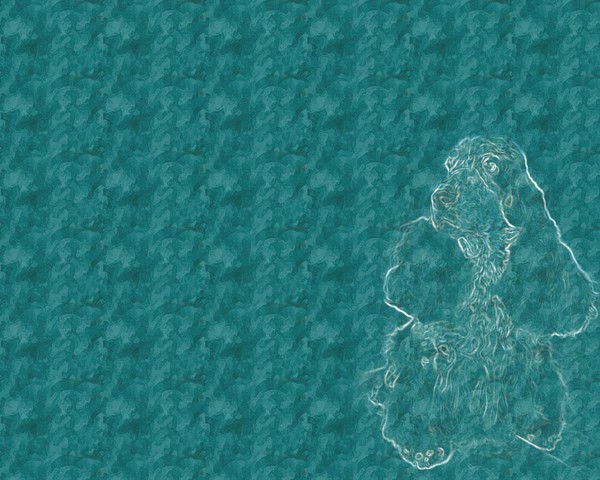 Полина Гостевская