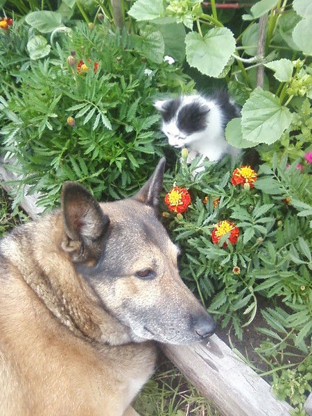 Марина Назаренко