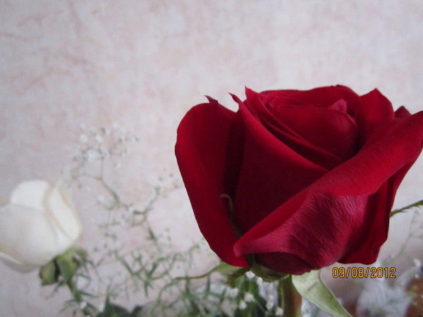 Валентина Искандерова