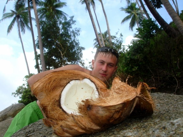 Денис Вогулкин