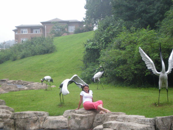 Ирина Булатова (Салтанова)