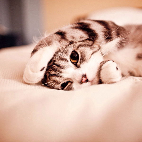 Катерина Титорова