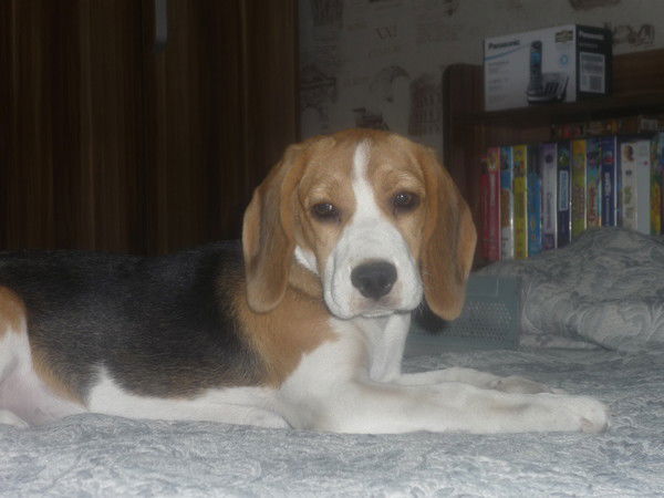 Никита Савченко