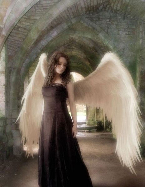 Кожевникова Елена