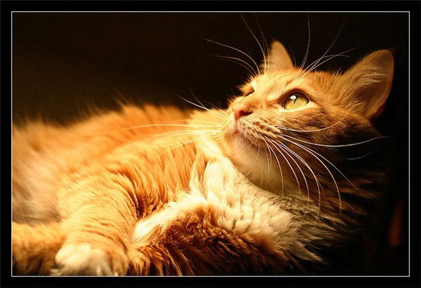 Ольга Зинченко