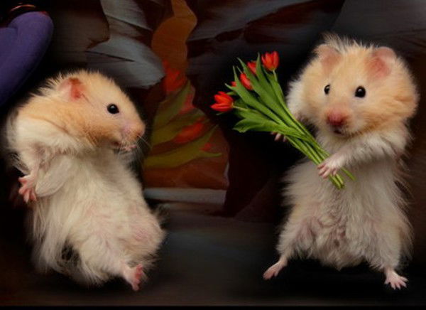 Надежда Филиппова