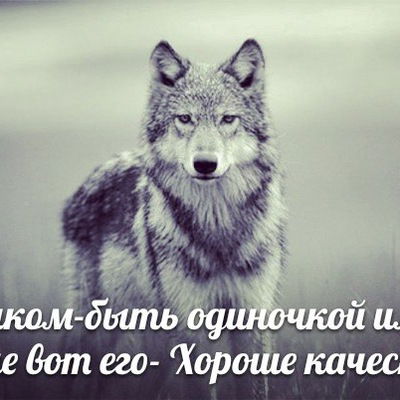 Дима Ганиев