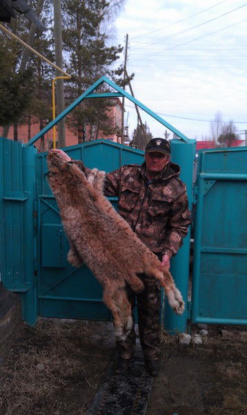 Николай Поспелов