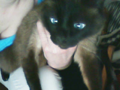 Наталья Затворная(Баранова)