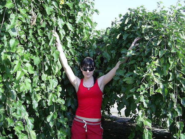 Юлия Сидорова