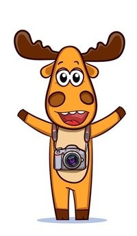 Вероника Токарева