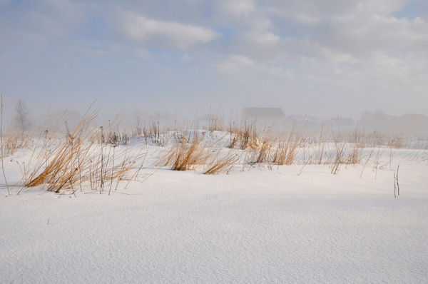 Руслан Утемисов