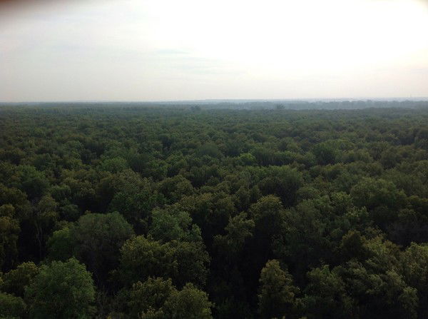 Радик Валиев