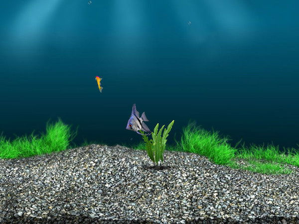 Виктория Деревянова