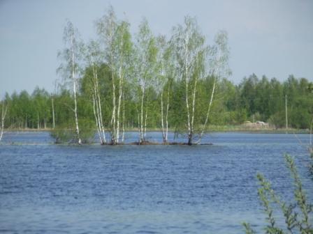 Александр Верас