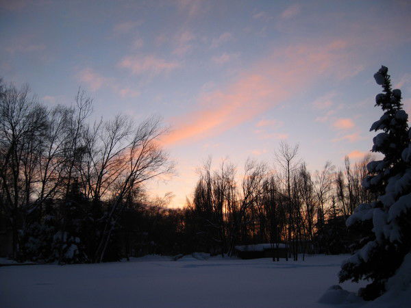 Лилия Жарикова