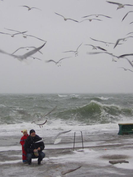 Ринат Ляпин