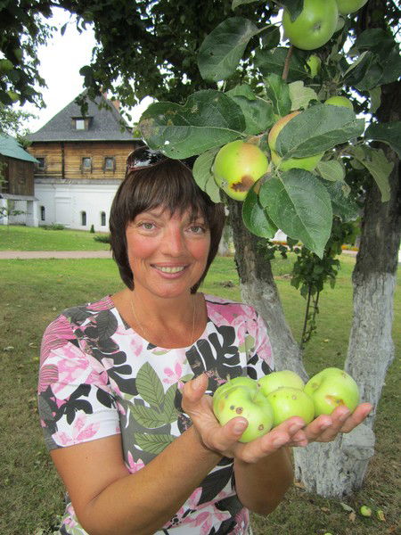 Елена Петрович