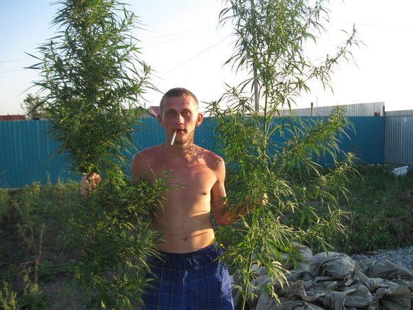 Иван Шевцов