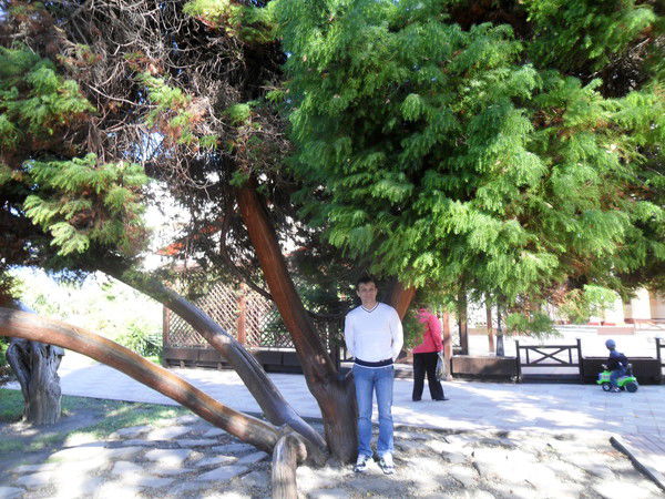 Геннадий Сазонов