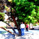 Геннадий Сазонов