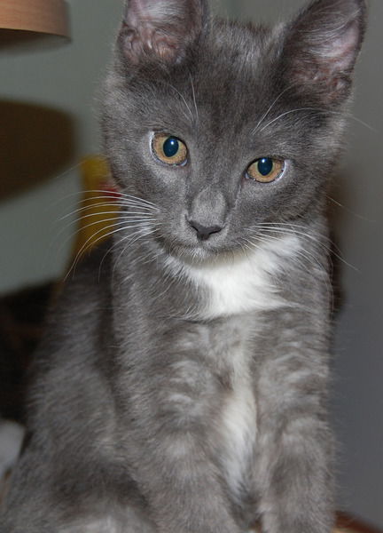 Юлия Порхунова