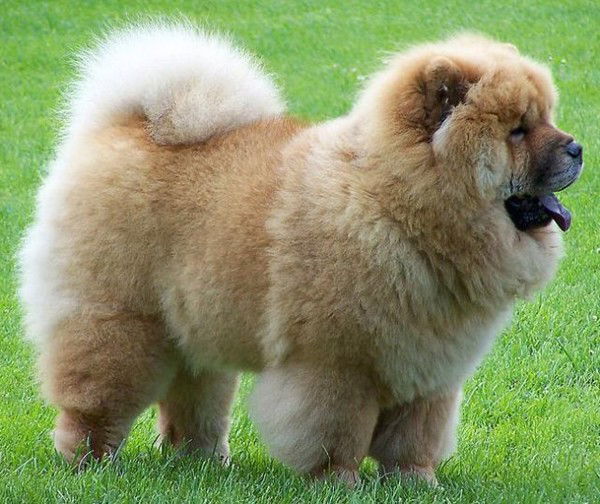 Алексей Копытов