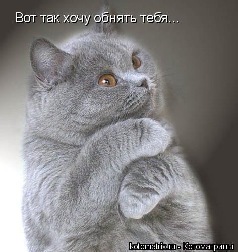 Виктор Вит